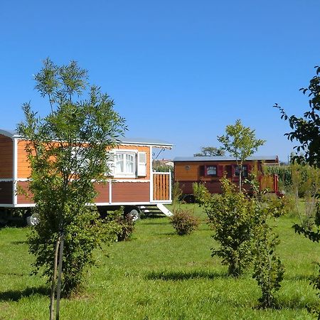 Les Roulottes-Gites De La Ferme De L'Autruche Dromoise Livron-sur-Drôme Zewnętrze zdjęcie